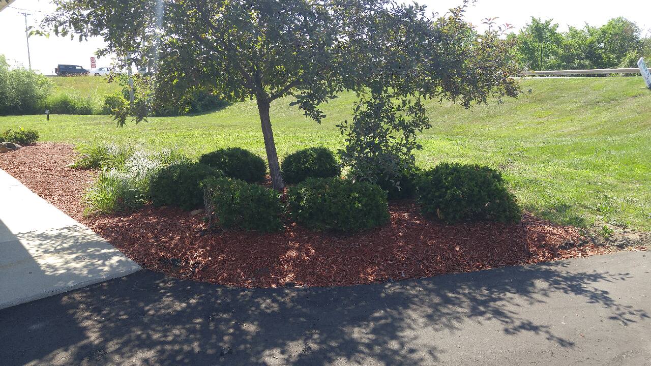 13668888_652173938280072_3889871817655740884_o